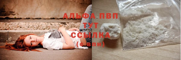 гидра Арсеньев