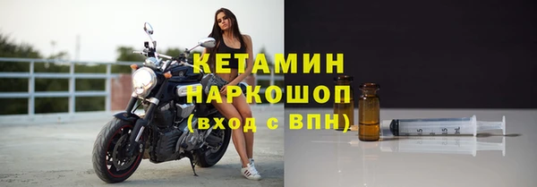 стаф Горняк