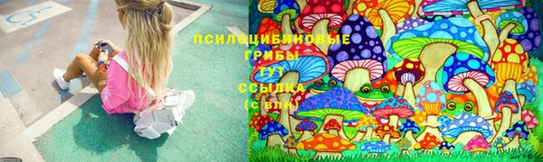 прущие крисы Лихославль
