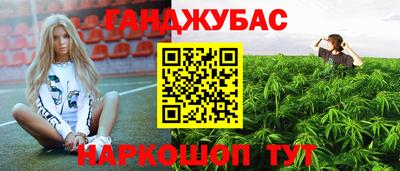 spice Дубна