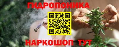 spice Дубна