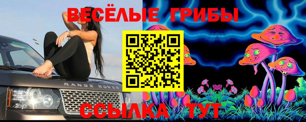 Псилоцибиновые грибы мухоморы Керчь